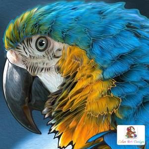 Meet your Posher, Dennis